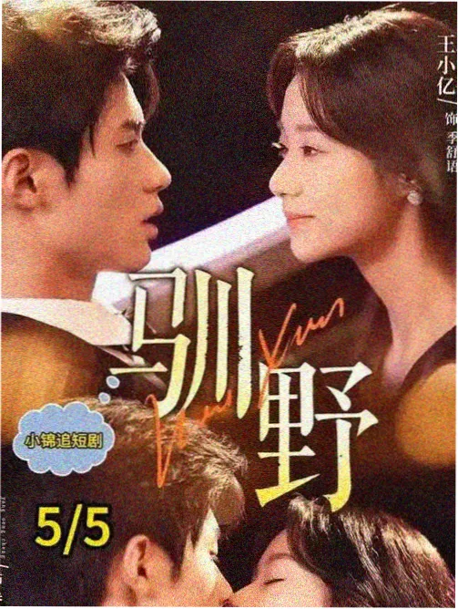 江河故人家族剧海报